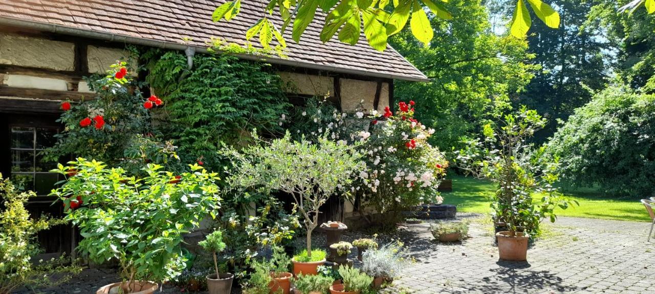 Villaflora Gaestehaus Riedlingen Dış mekan fotoğraf