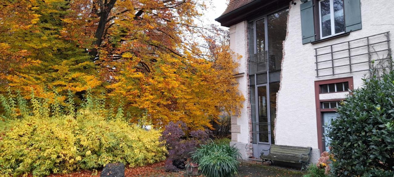 Villaflora Gaestehaus Riedlingen Dış mekan fotoğraf
