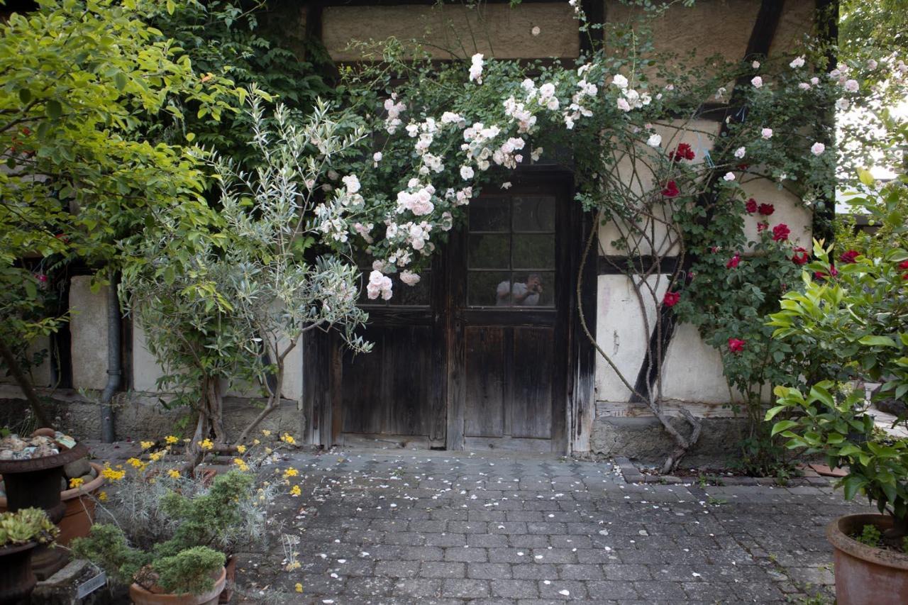 Villaflora Gaestehaus Riedlingen Dış mekan fotoğraf